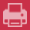 Print Icon